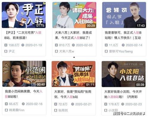 明星视频在线观看 爆料网每日精选最新消息,爆料网每日精选，热门视频在线观看